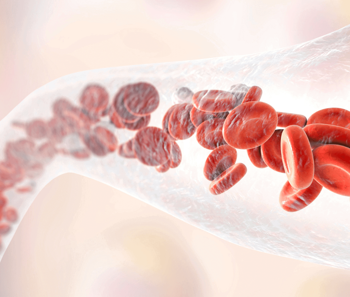 c402ff5aa76ac5cf59ad88fd5097cc5c (1)